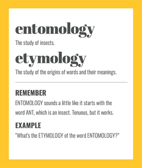 Etymology vs entomology: easy ways to remember the difference - Sarah Townsend Editorial