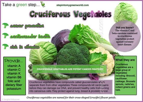 Benefits of cruciferous vegetables | Healthful Food Infographic | Pinterest | Health, Broccoli ...