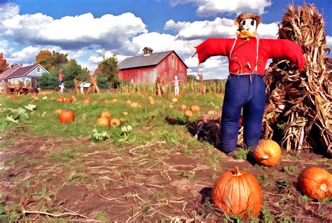 Pumpkin Patch Scarecrow Photograph by Allen Beatty - Fine Art America