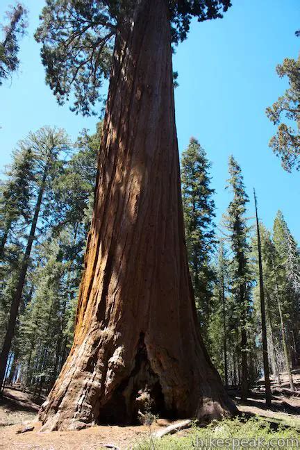 General Grant Tree Trail | Kings Canyon | Hikespeak.com