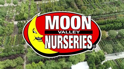 Moon Valley Nurseries Scottsdale - YouTube