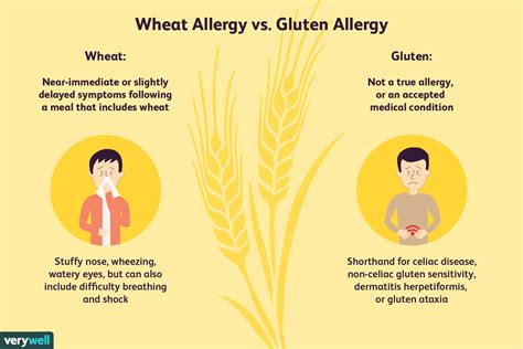 Wheat Allergy: Symptoms, Causes, Diagnosis, and Treatment