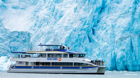 Kenai Fjords Photo & Video Gallery - Major Marine Tours