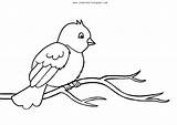 Bird Coloring Pages  FREE Download Underbart Skapad sketch template