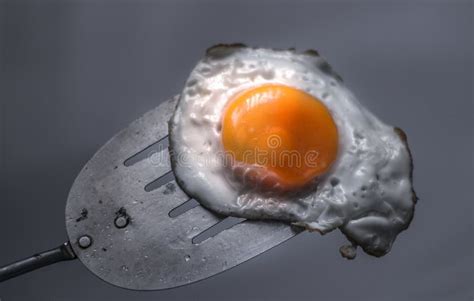 Fried egg and spatula stock photo. Image of object, yolk - 116429400