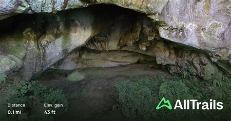 Waipu Caves: 25 Reviews, Map - Northland, New Zealand | AllTrails