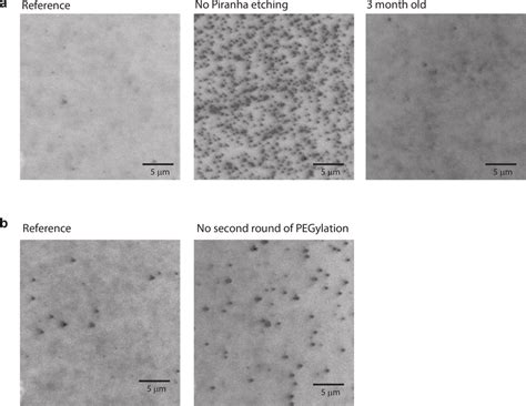 CCD images taken with dye-labeled proteins in solution. (a) CCD images... | Download Scientific ...