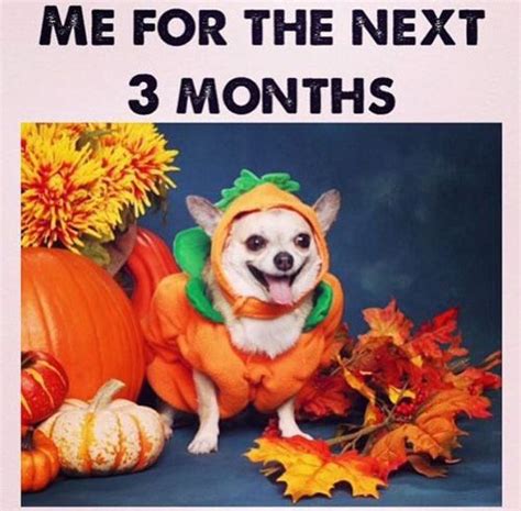 Pin on Just fun | Fall memes, Halloween memes, Falling memes funny