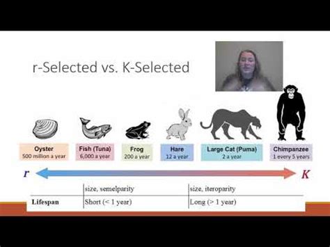 AP Env Sci Topic 3.2 "K-selected and r-selected species" - YouTube