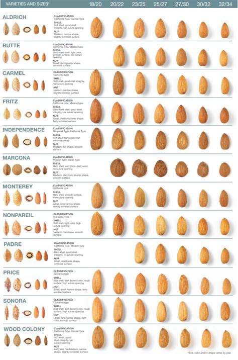 Almond Classification - Minerva Global