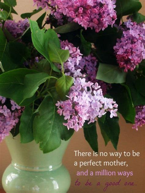 lilac and a quote, from bliss in imagea | Lilac, Quotes, Favorite quotes