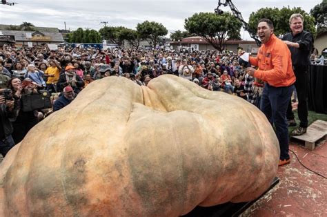 Biggest pumpkin: Minnesota grower breaks world record - All Photos ...