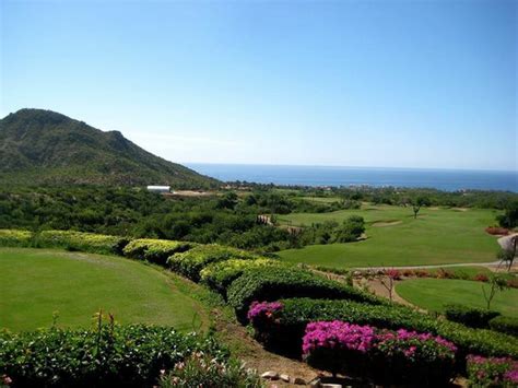 Club Campestre Golf Course (San Jose del Cabo) - 2020 All You Need to Know BEFORE You Go (with ...