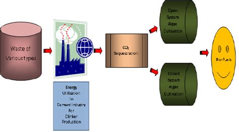 A typical flow diagram for the formation of Bio-fuel by utilizing... | Download Scientific Diagram