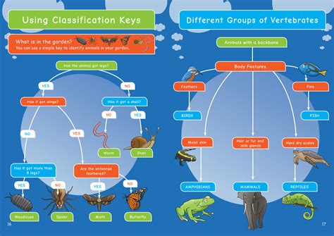 KS2 Biology: Living Things & Their Habitats | Resources For Dyslexics