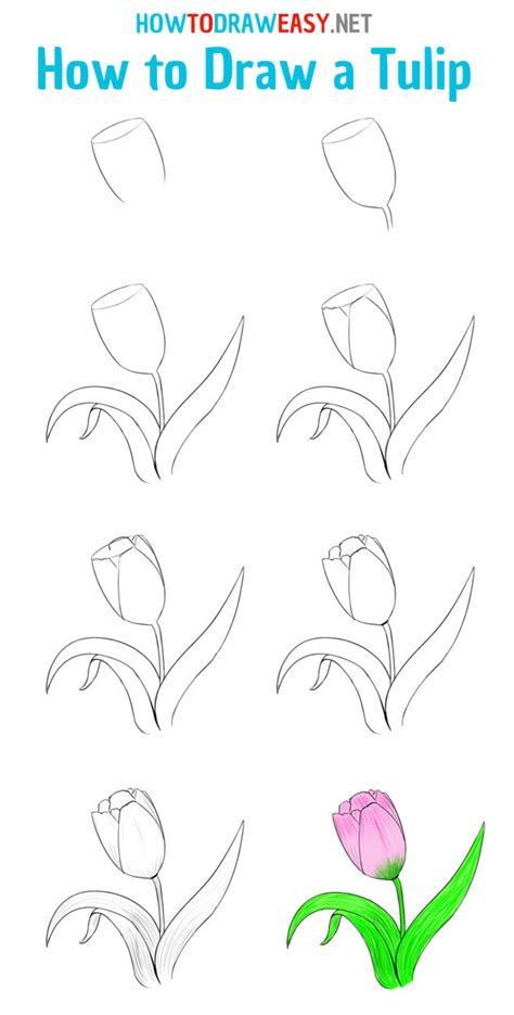 How To Draw A Tulip Really Easy Drawing Tutorial In 2021 Drawing ...