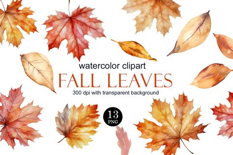 Watercolor Fall Leaves Clipart PNG Graphic by Elena Dorosh Art · Creative Fabrica