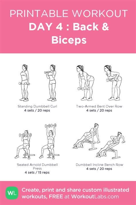 DAY 4 : Back & Biceps | Workout plan gym, Gym workout plan for women, Planet fitness workout