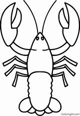 Lobster Coloring Pages 56 Free Printables  ColoringAll sketch template