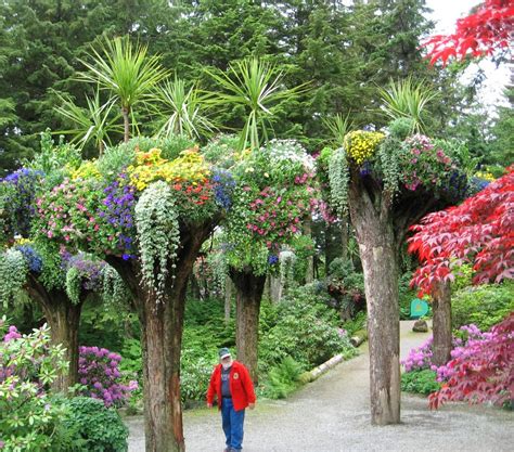 Road Trips!: Juneau, Alaska: Glacier Gardens Rainforest Adventure