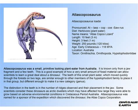 Atlascopcosaurus - DINOSAUR EARTH