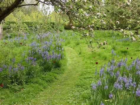 Wild Garden, Orchard, Mound & Avenue — | Wild flower meadow, Orchard garden, Country garden design