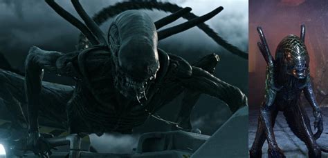 How strong is both Grid (the Xenomorph) from Alien vs Predator movie and the other Xenomorph ...