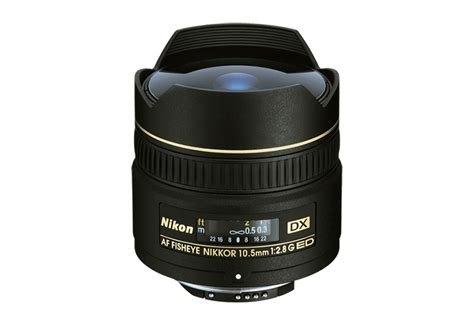 Comparing Nikon Fisheye Lenses for Underwater Photography