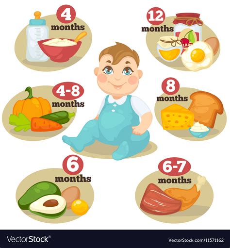 Healthy food for babies Royalty Free Vector Image