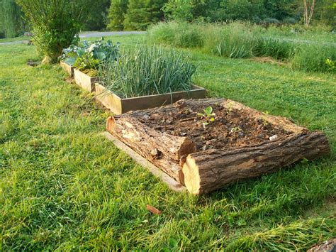 Vegans Living Off the Land: Raised Bed Garden Ideas & Using Free materials