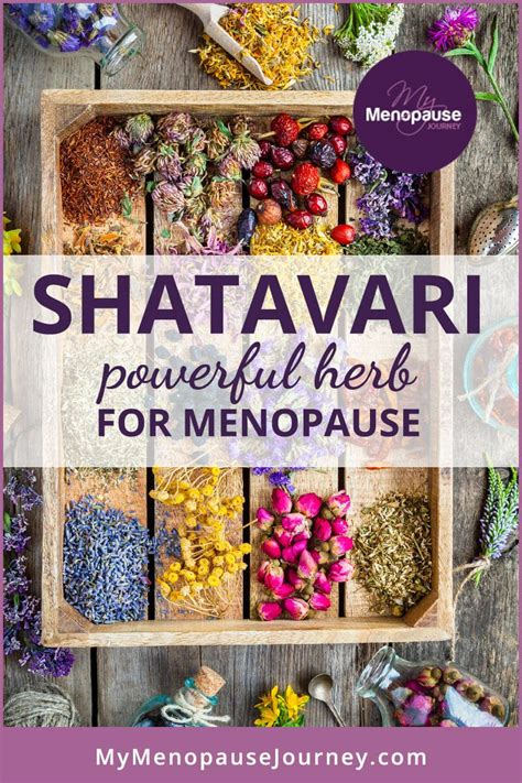 Healthy Shatavari Benefits for Menopausal Women