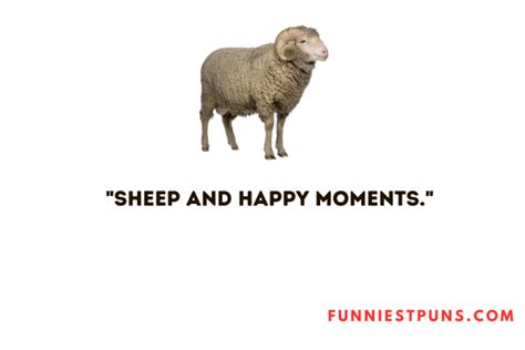 90+ Funny Sheep Puns And Jokes - Funniest Puns