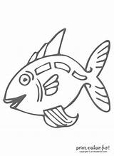 Funny fish 1 coloring Page  Print Color Fun sketch template