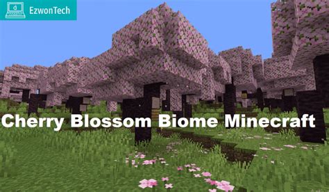 Cherry Blossom Biome Minecraft: Get Detailed Information!