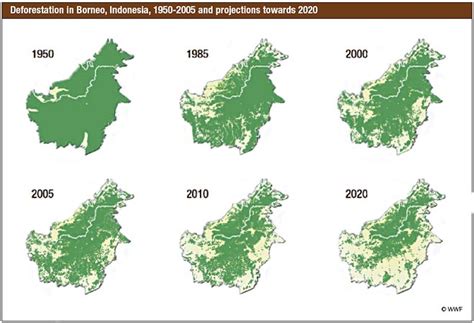 Deforestation in Borneo