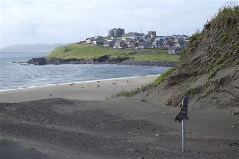 Indigenous Scientists on St. Paul Island, Alaska Work To Protect Marine ...