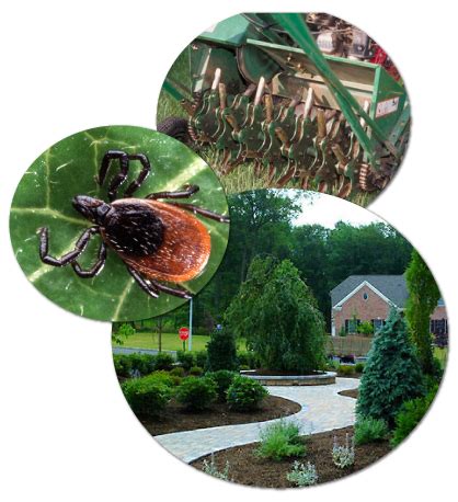 Organic Pest Control in Cumming GA | Forsyth County