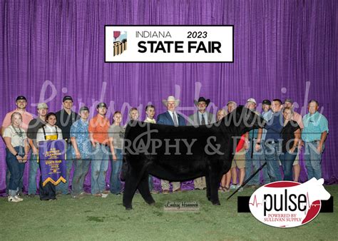 2023 Indiana State Fair | Overall Heifer | The Pulse