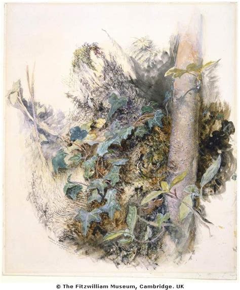 john ruskin watercolors - Google Search in 2020 | Botanical art, John ...