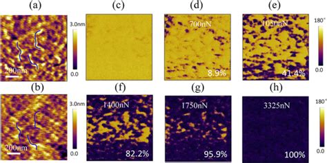 The mechanical switching of ferroelectric polarization.: The surface... | Download Scientific ...