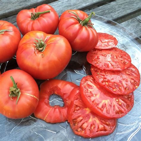 Tomato Varieties, Types of Tomatoes, Heirloom Tomatoes