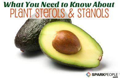 Plant Sterols and Stanols: What You Need to Know | SparkPeople