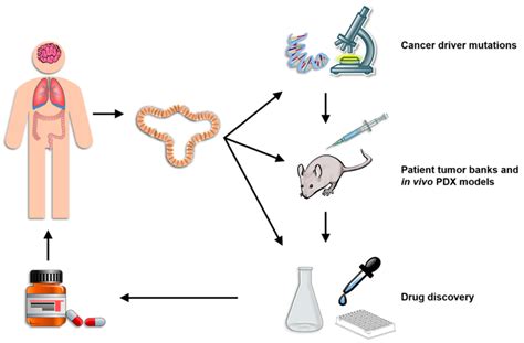 of current applications of organoid technology. Patient-derived ...