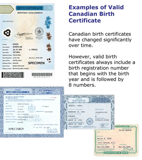 Birth Certificate Bc Canada | TUTORE.ORG - Master of Documents