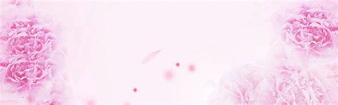 Romantic Pink Wedding Banner in 2019 | Wedding background images, Blank wedding invitations ...