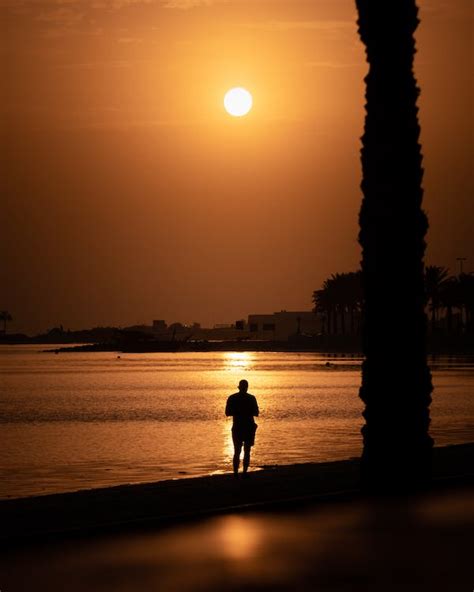 Man on Beach at Sunset · Free Stock Photo