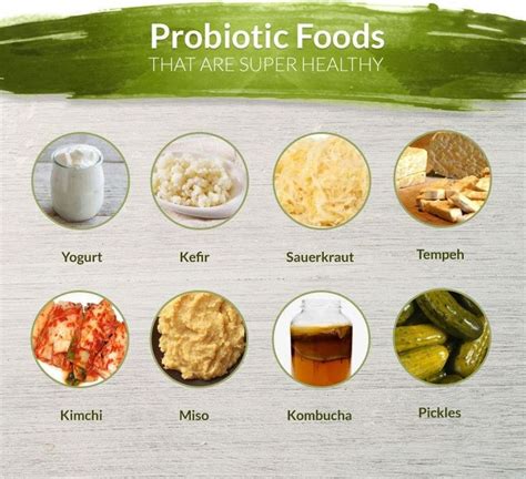 Variasi probiotik | Makanan, Makanan sehat, Probiotik