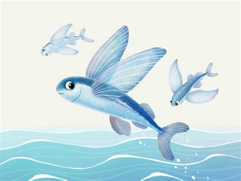 Flying fish by Julia Ezhova on Dribbble