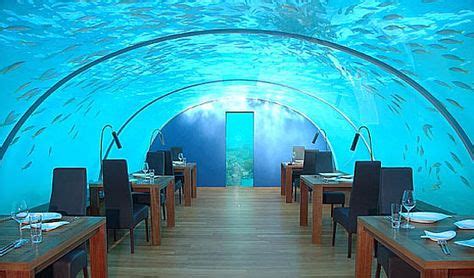 world’s first undersea restaurant at the Hilton Maldives Resort & Spa Rangali Island | My Dream ...