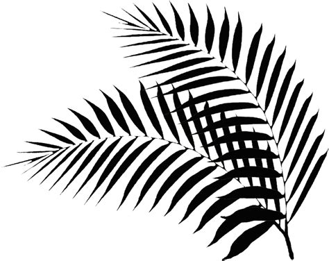 Fern Clipart Fern Leaves Fern Fern Leaves Transparent Free For | Images and Photos finder